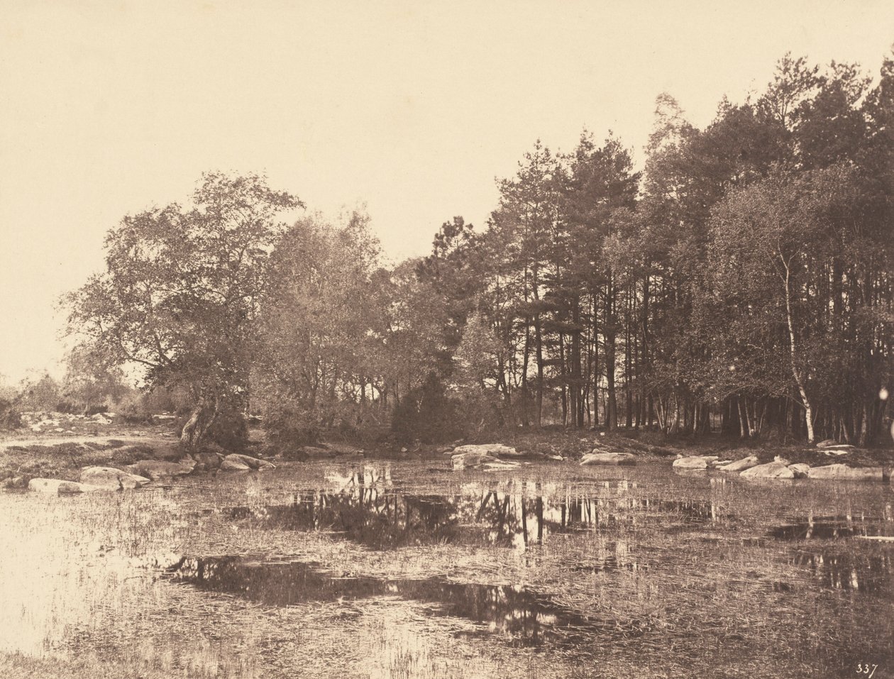 Sump ved Piat (Belle-Croix Plateau), ca. 1863 (foto) af Eugène Cuvelier