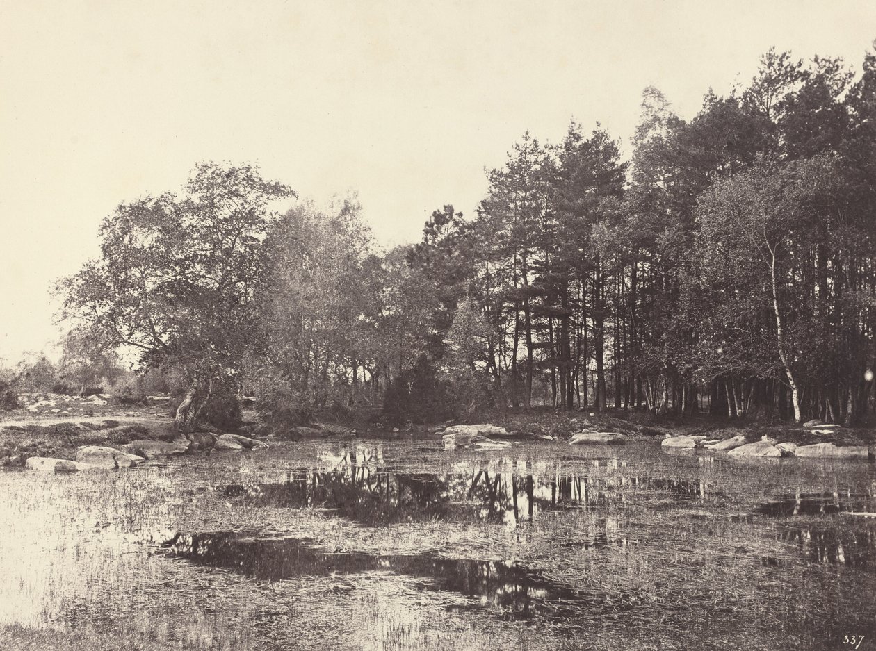 Marsh ved Piat Belle-Croix Plateau, ca. 1863. af Eugène Cuvelier