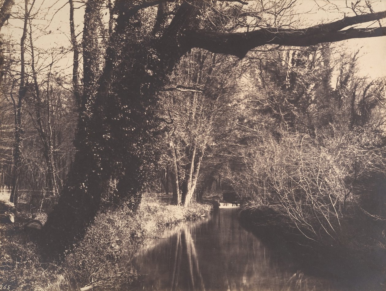 Courances Park, 1860-70. af Eugène Cuvelier