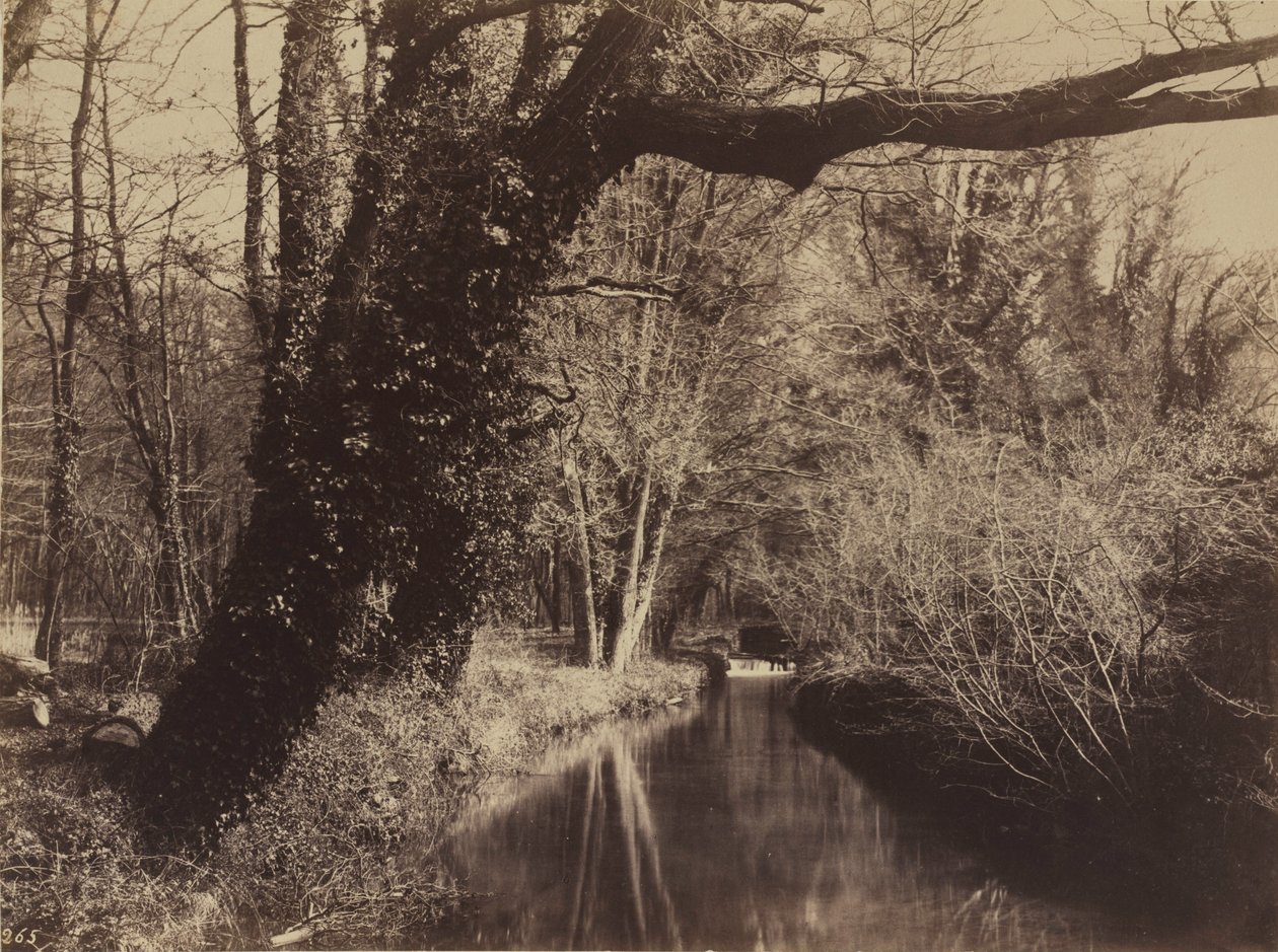 Parc de Courances, sidst i 1850