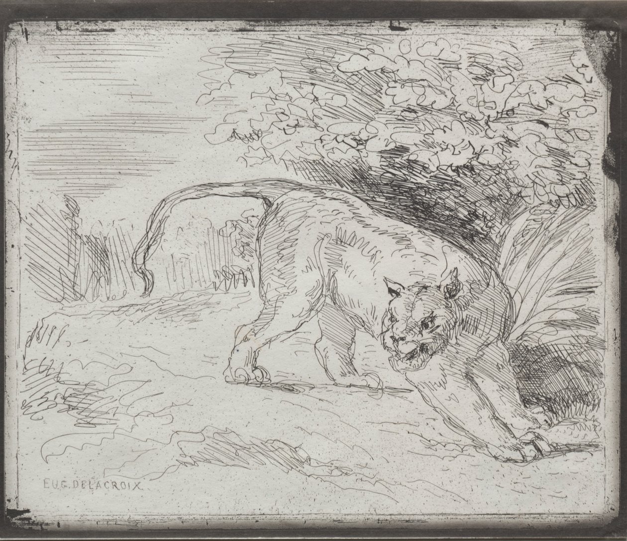 En fanget tiger af Eugène Delacroix