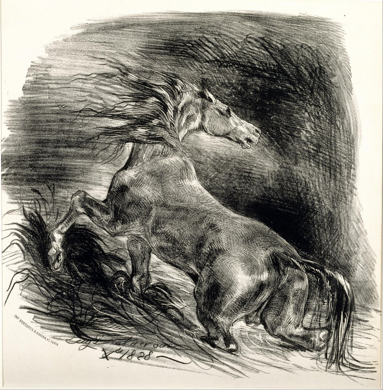 Vild hest af Eugène Delacroix