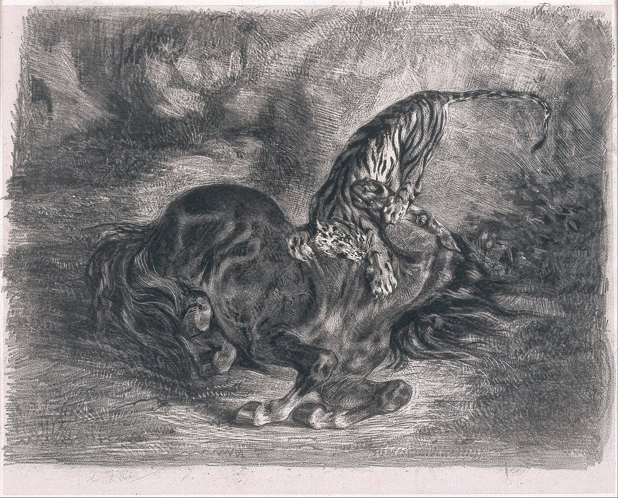 Vild hest slået ned af en tiger af Ferdinand Victor Eugene Delacroix