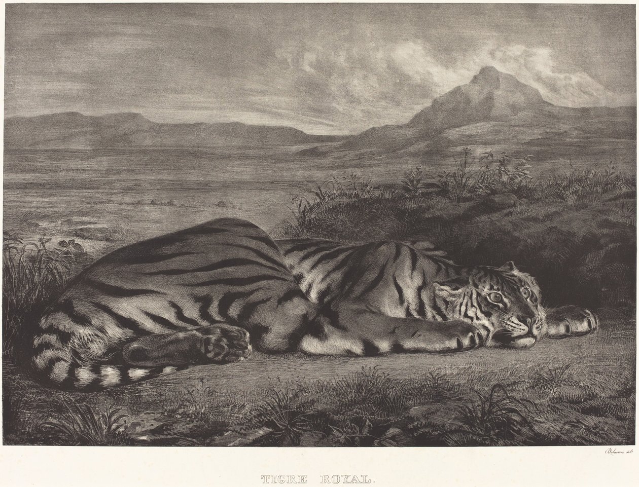 Royal Tiger (Tigre Royal) af Eugène Delacroix