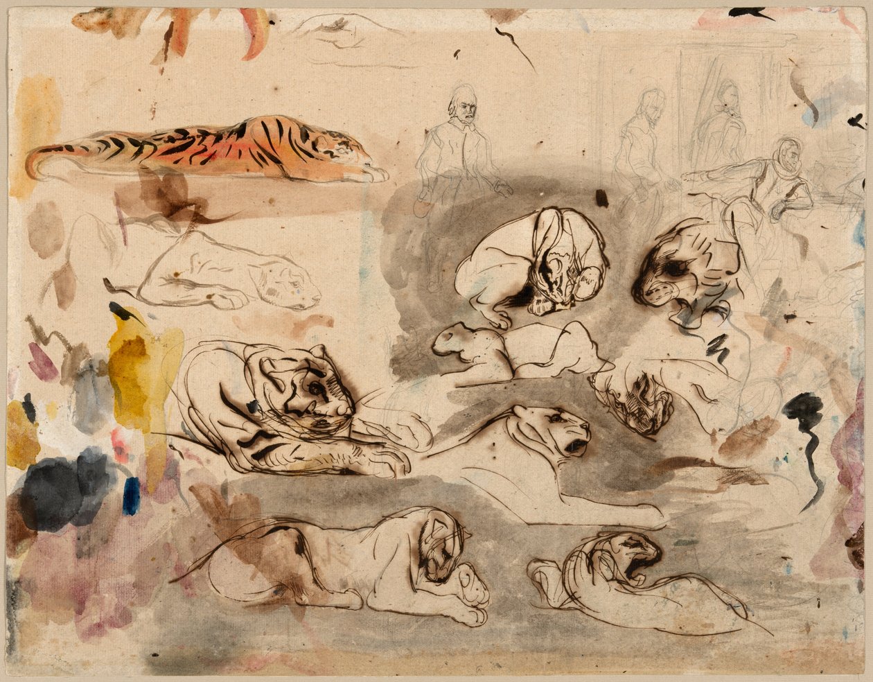 Skitser af tigre og mænd i 1500-tallets kostume af Eugène Delacroix