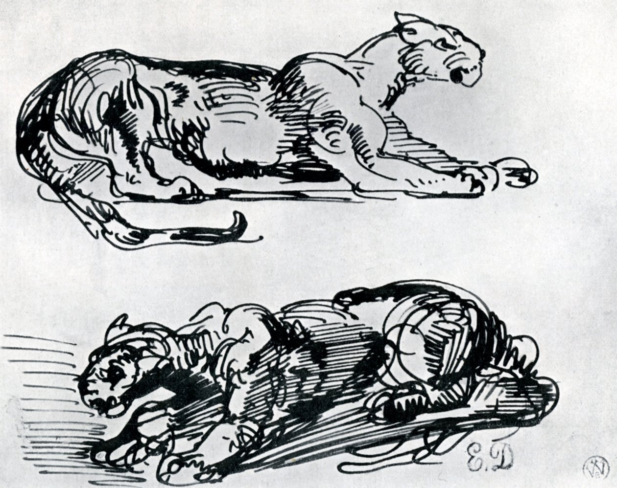 Studier af pantere, 1913 af Ferdinand Victor Eugene Delacroix