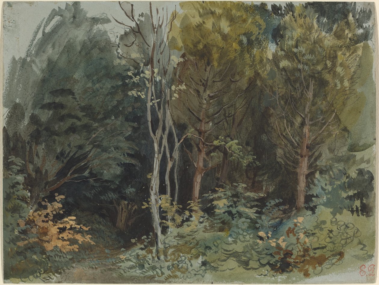 Udkanten af en skov ved Nohant af Eugène Delacroix