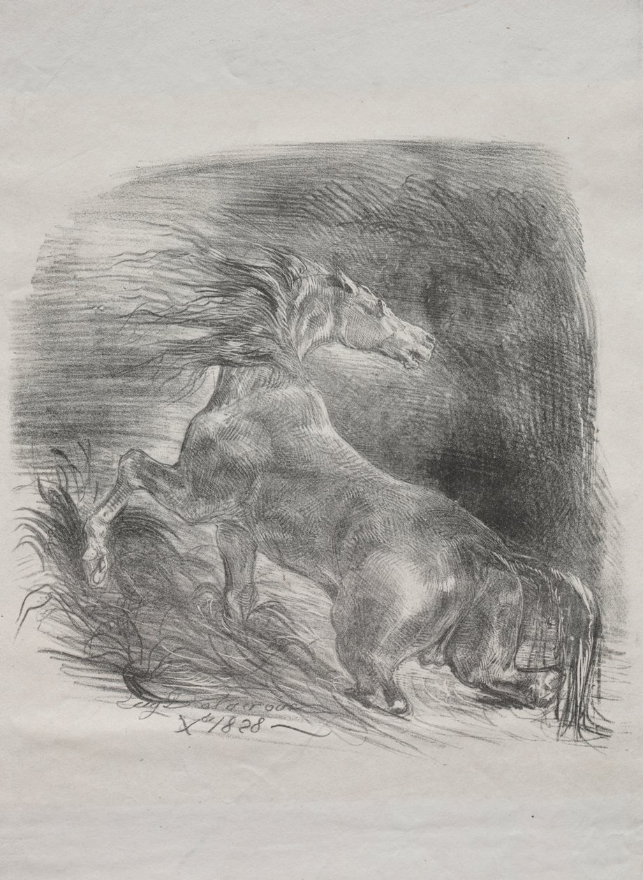 Den vilde hest, eller bange hest, der forlader vandet af Eugène Delacroix