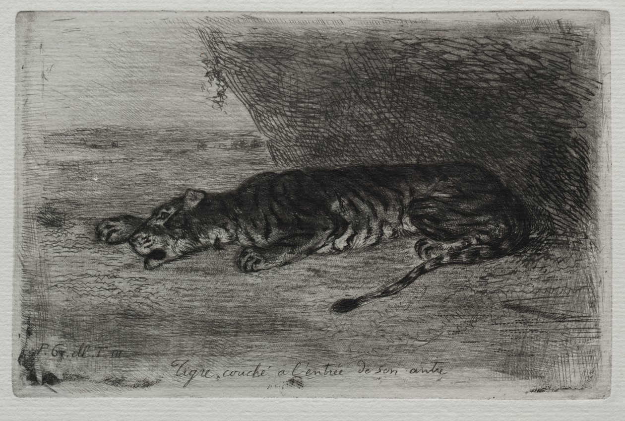 Tiger sover ved indgangen til hans hule af Eugène Delacroix