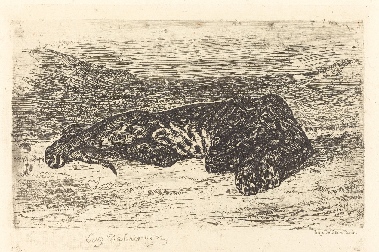 Tiger sover i ørkenen af Eugène Delacroix