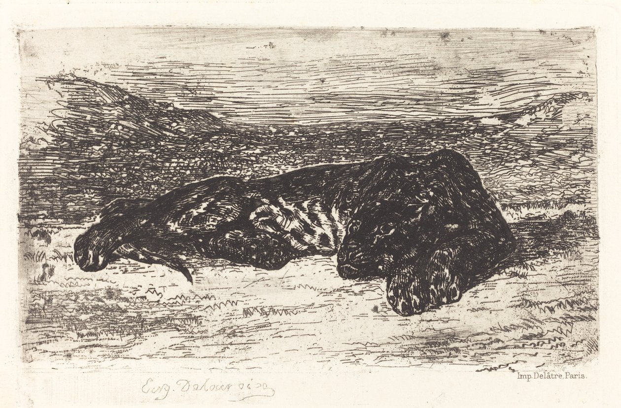 Tiger sover i ørkenen af Eugène Delacroix