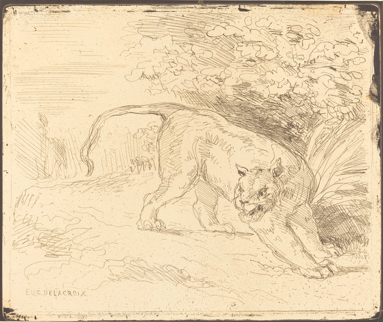 Tiger i Stop, 1854. af Eugène Delacroix