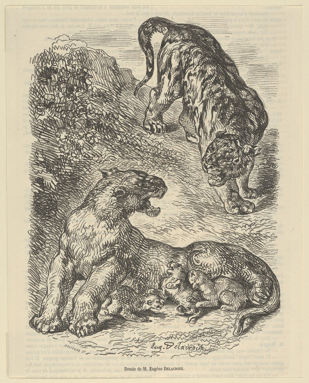 Tigress angrebet af en tiger, mens hun ammede sine unge, 1853., 1853. af Eugène Delacroix