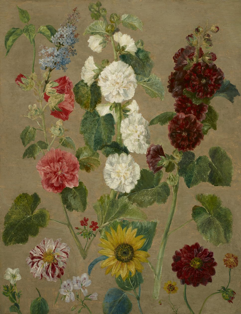 Uden titel [blomster] af Eugène Delacroix