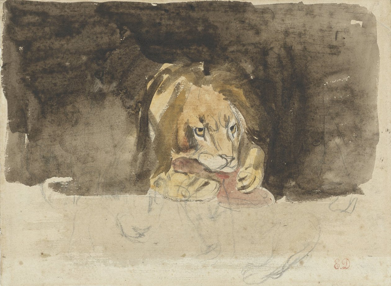 Kødædende løve, set forfra, der kommer ud mod en mørk baggrund af Eugène Delacroix