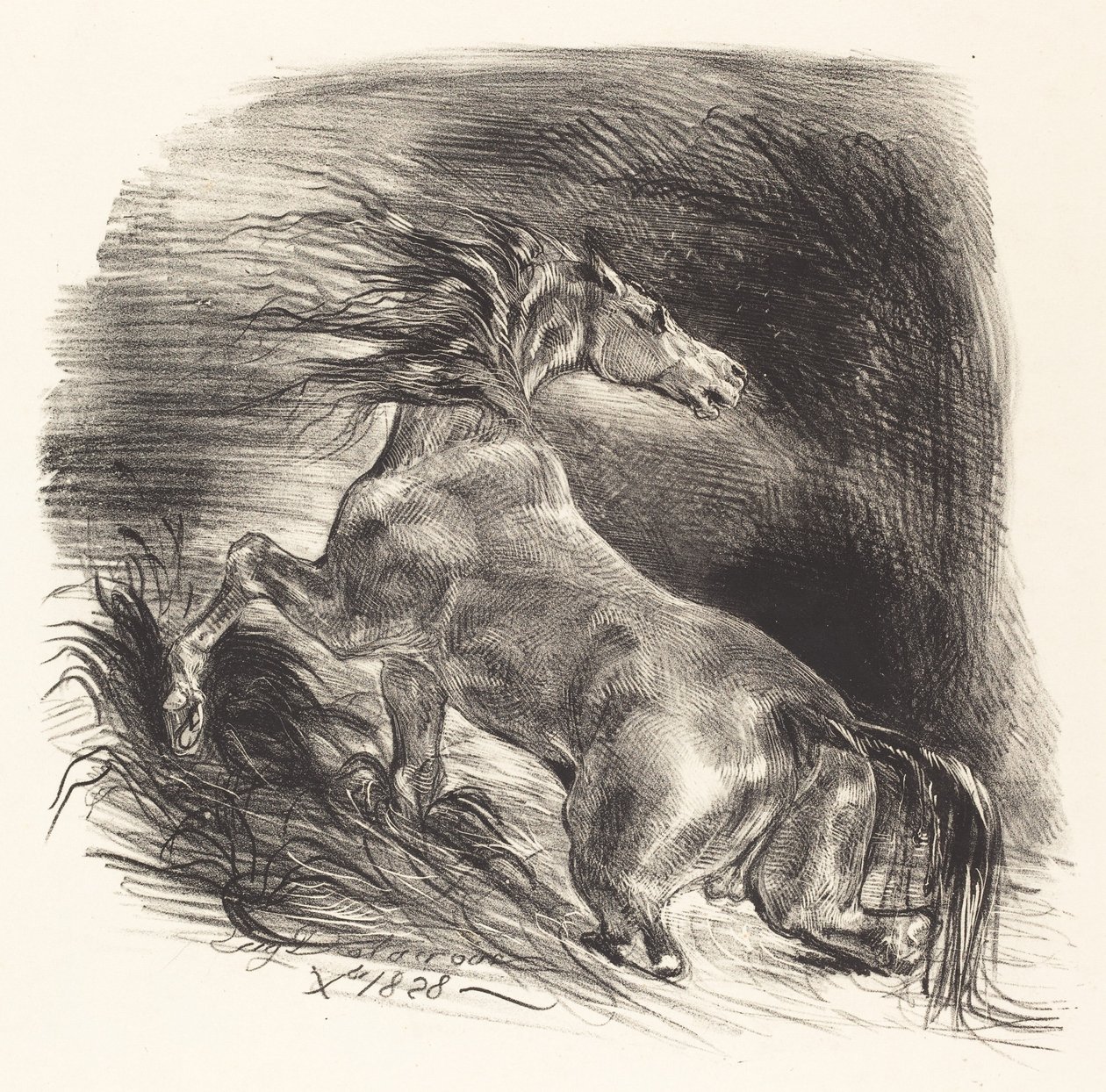 Vildhest kommer ud af vandet (Cheval sauvage) af Eugène Delacroix