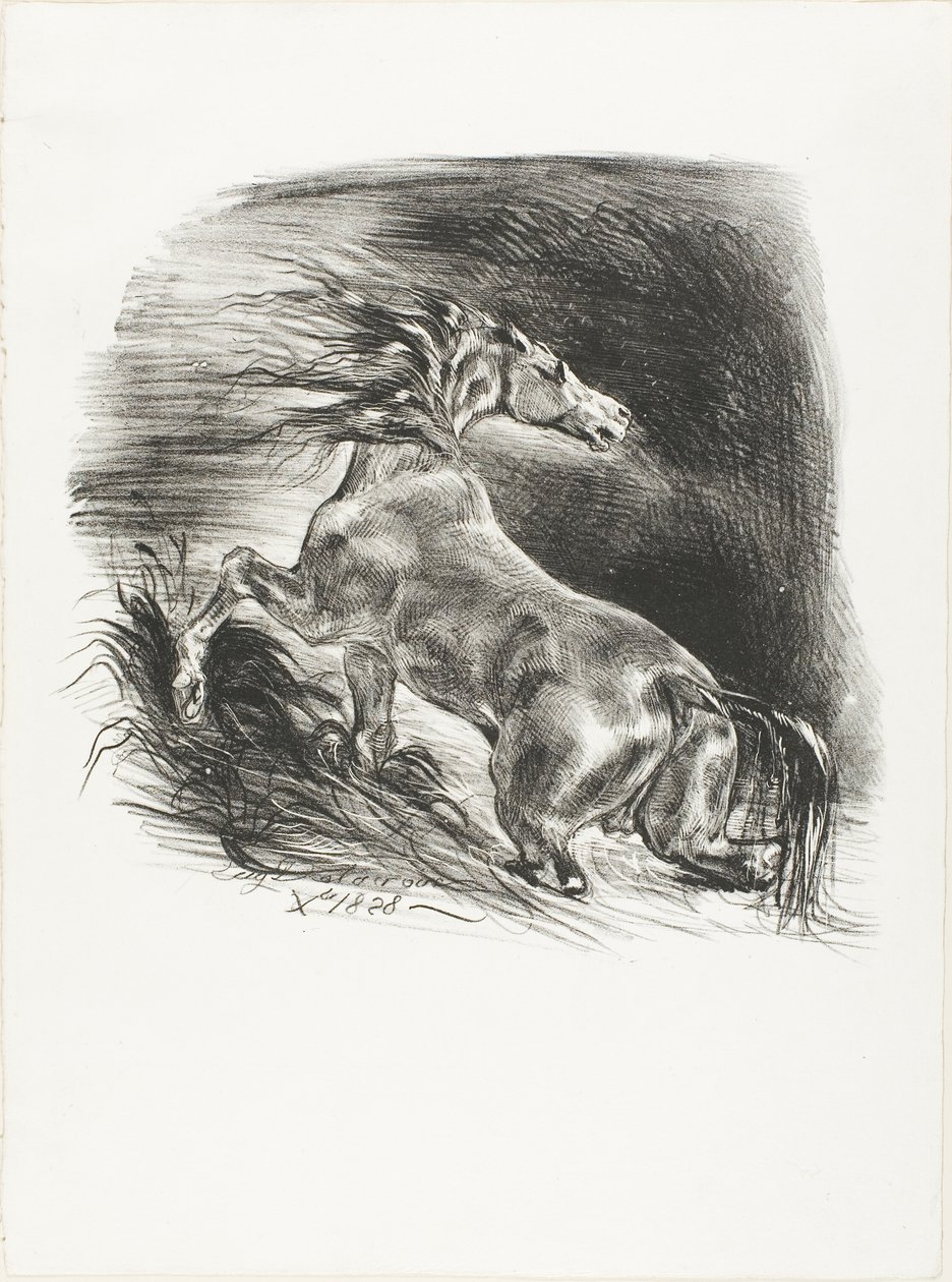 Vild hest, eller bange hest, der forlader vandet af Eugène Delacroix