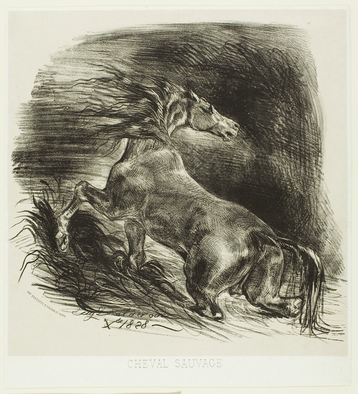 Vild hest eller bange hest, der forlader vandet af Eugène Delacroix