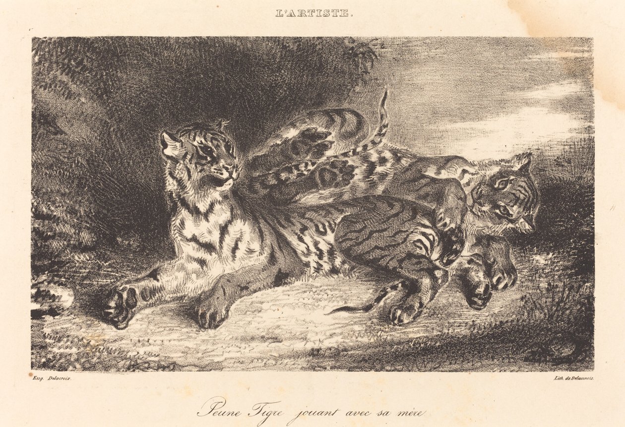 Ung tiger leger med sin mor af Eugène Delacroix
