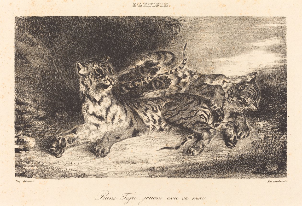 Ung tiger leger med sin mor Ung tiger leger med sin mor, 1831. af Eugène Delacroix