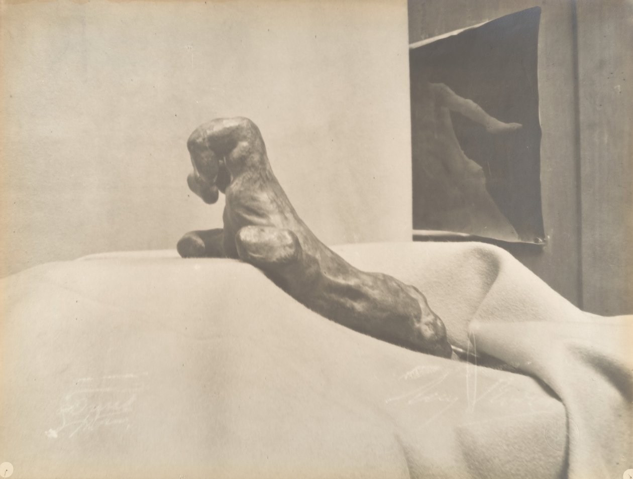 [Auguste Rodins The Clenched Hand], før 1898. af Eugène Druet
