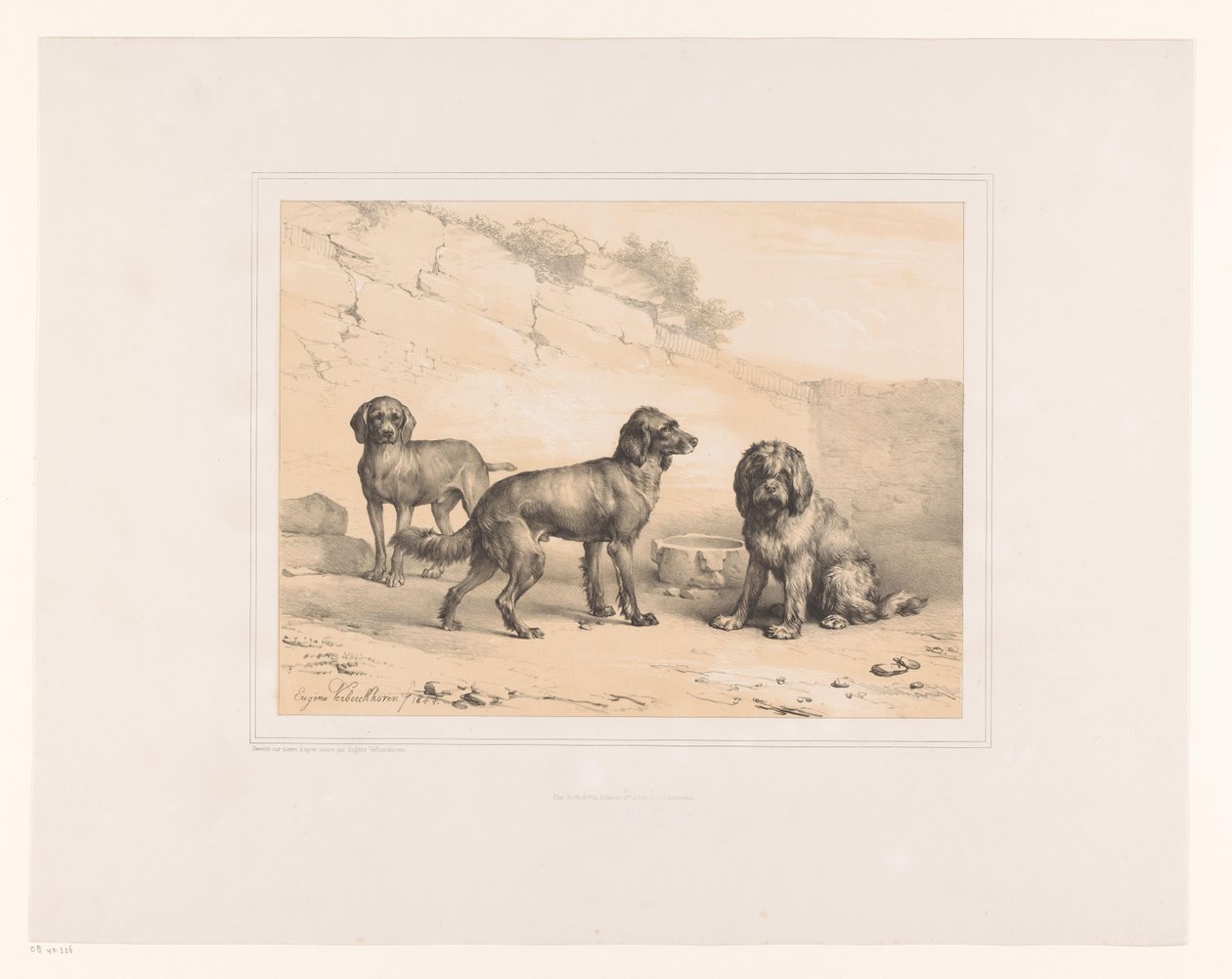 Tre hunde Forskellige dyr (serietitel) Etudes d