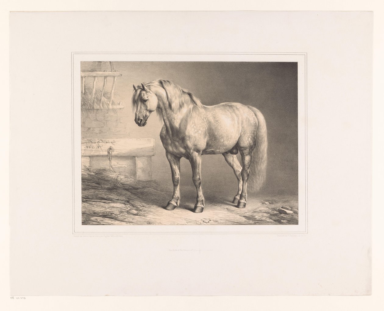 Hest i stald Forskellige dyr (serietitel) Etudes d