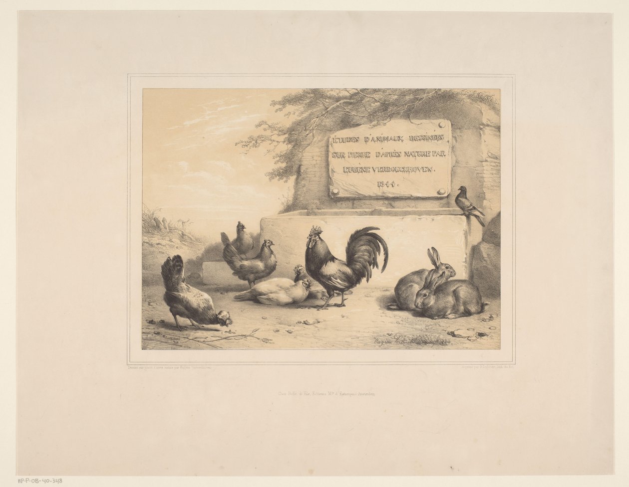 Titelprint med høns, kaniner og en due Forskellige dyr (serietitel) Etudes d