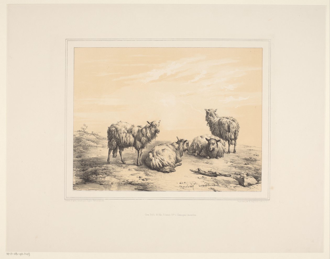 Fire får Forskellige dyr (serietitel) Animal Studies (serietitel) af Eugène Verboeckhoven
