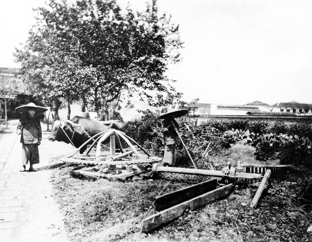 Oksedrevet kunstvanding, Kina, ca. 1870-80 af European Photographer