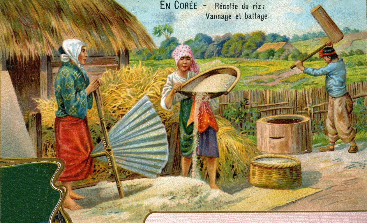 Rishøsten i Korea, vinding og tærskning, 1904 af European School