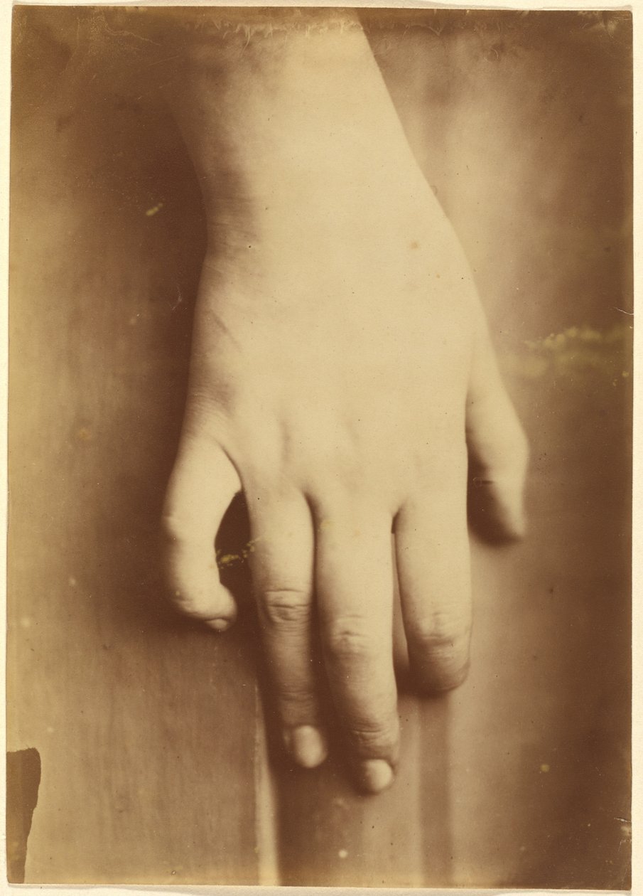 Studie af en hånd af European 19th Century