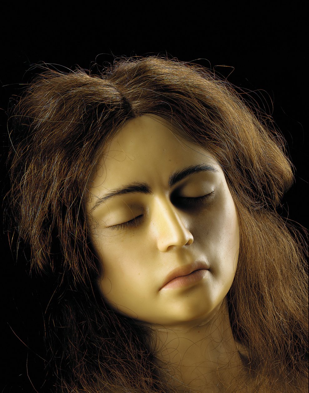 Anatomisk model af en ovariegraviditet, detaljer af European School