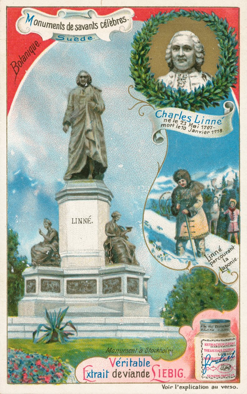 Carl von Linné, Liebig-kort, begyndelsen af det 20. århundrede (chromo) af European School