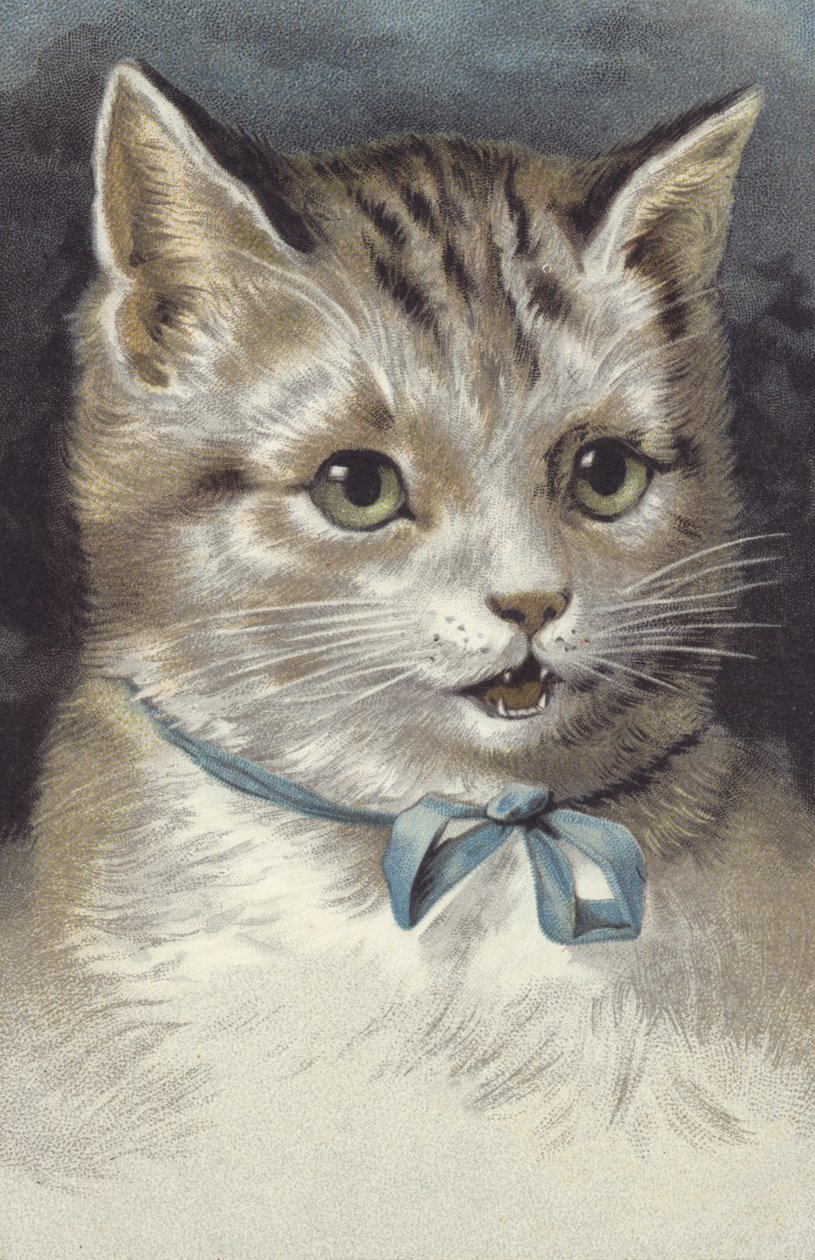 Kat med blåt halsbånd (chromolitho) af European School