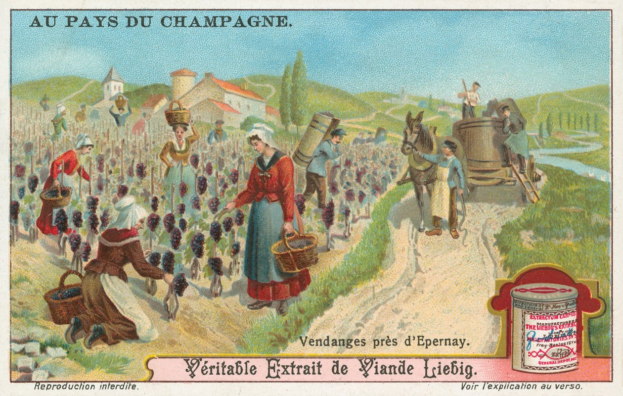 Champagne, Liebig-kort, begyndelsen af det 20. århundrede (chromo) af European School