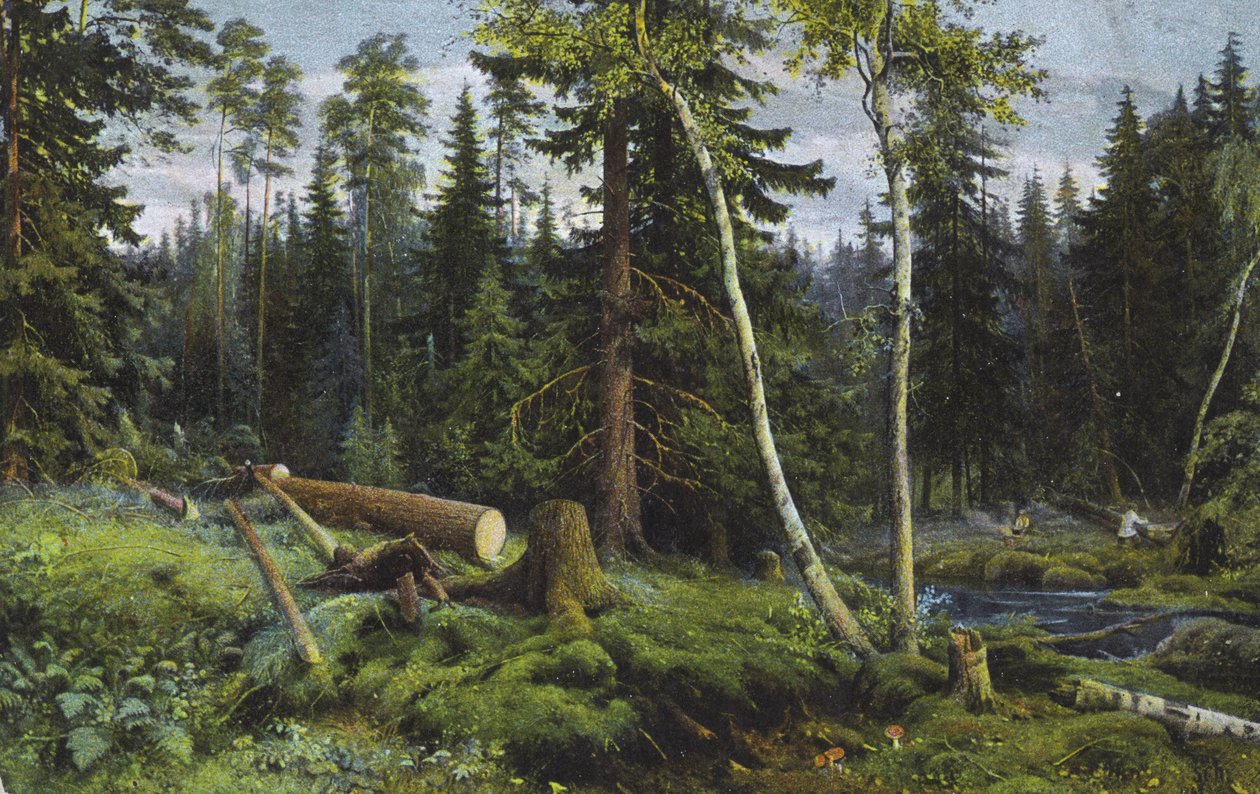 Scene i en skov med fældede træer (farvelitografi) af European School