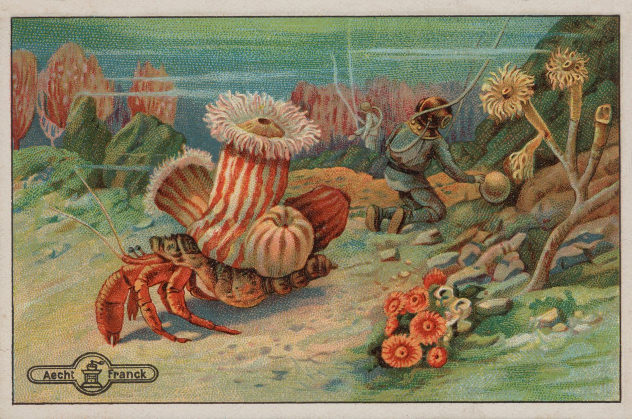 Scene på havbunden (chromolitho) af European School