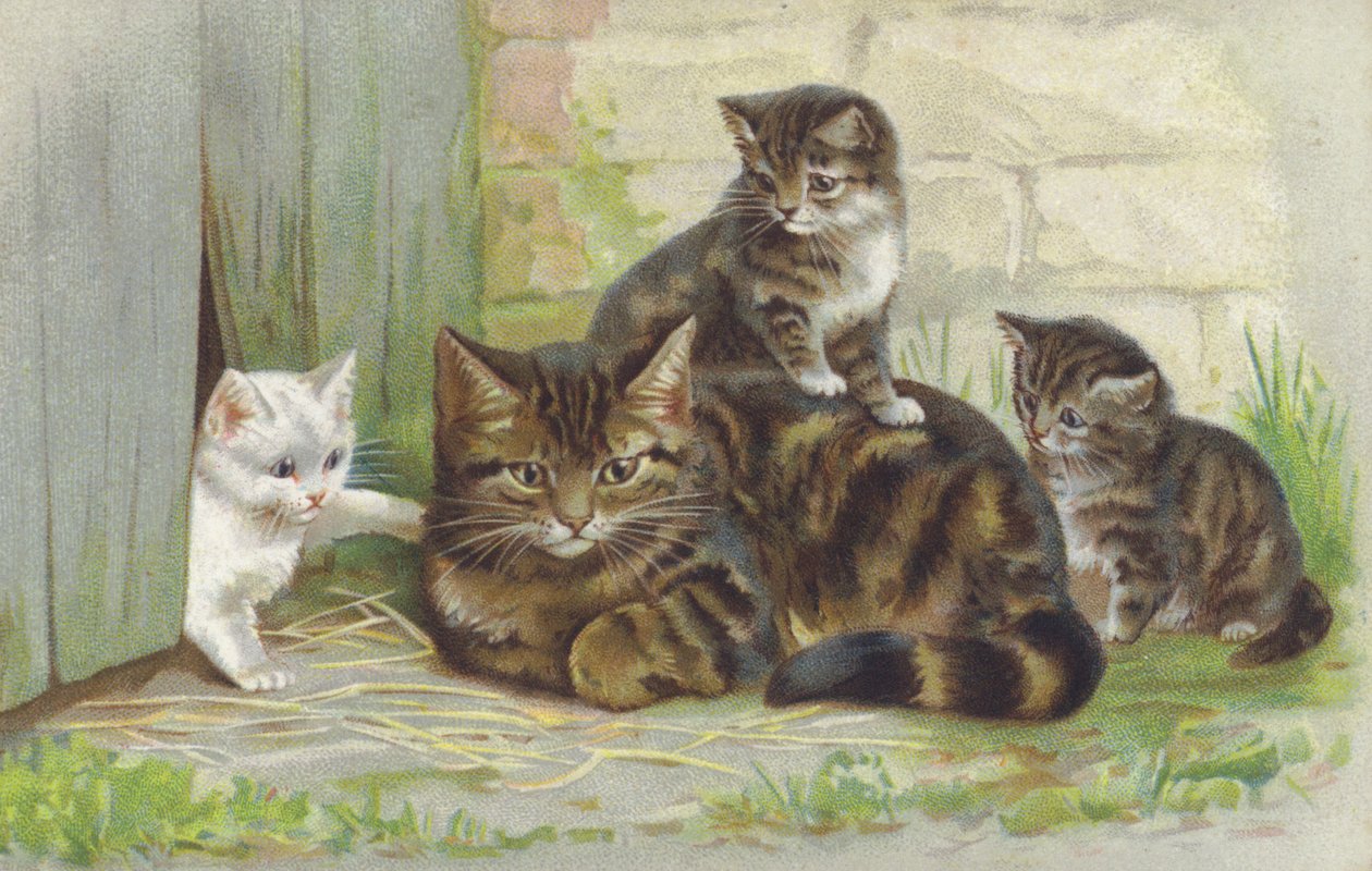 Tabby-kat med tre killinger (chromolitho) af European School