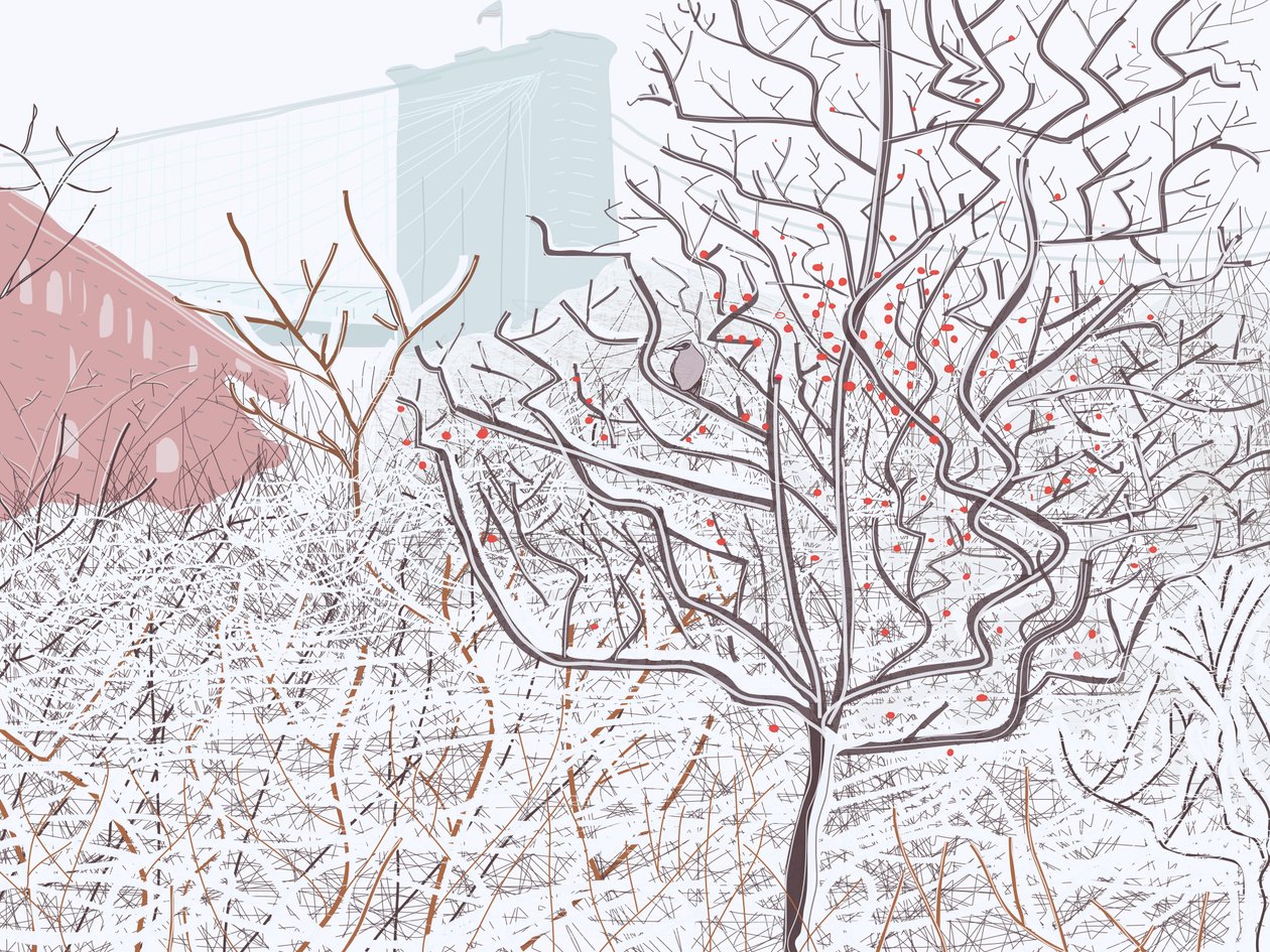 Fugl i sne, Brooklyn Bridge Park (digital kunst) af Evan Sklar