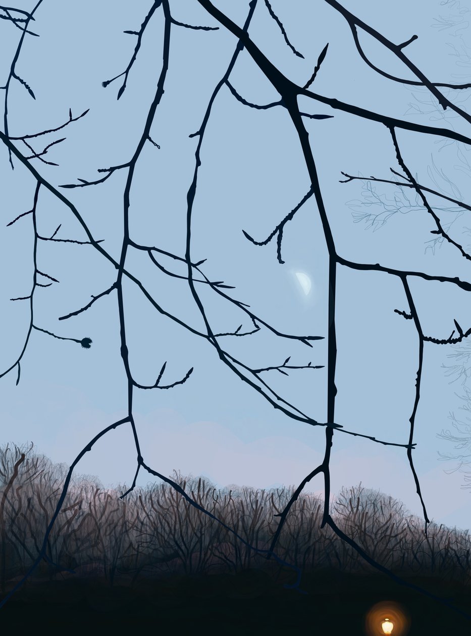 Grene, daggry, Prospect Park (digital kunst) af Evan Sklar