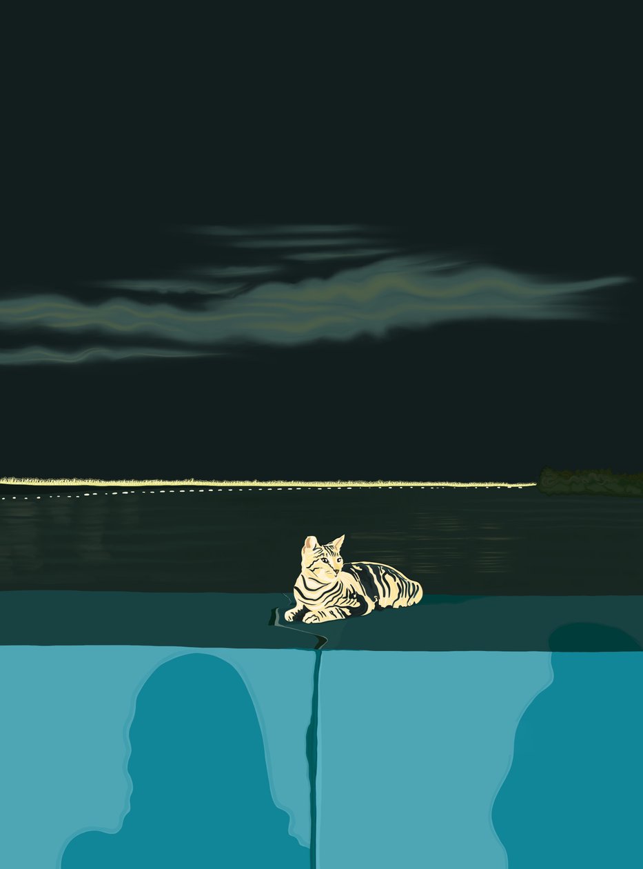 Kat på væg, Panama City, ca. 2020-24 (digital kunst) af Evan Sklar