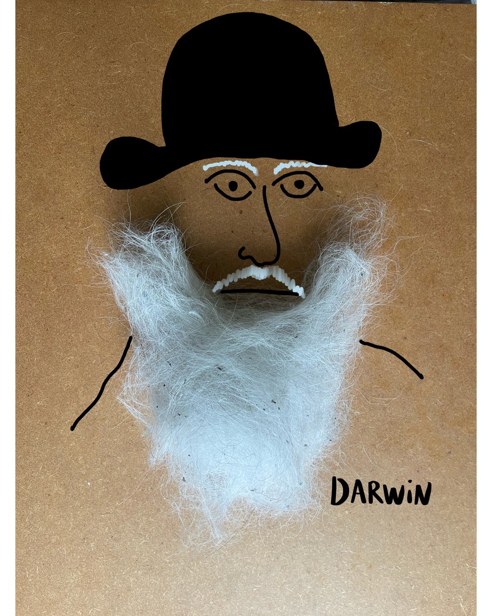 Charles Darwin af Evan Sklar
