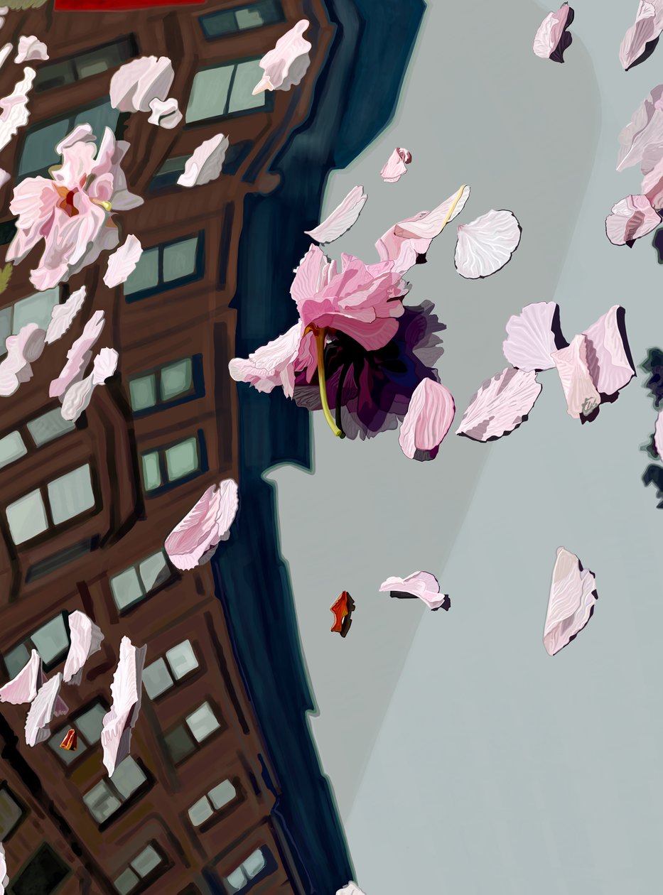 Kirsebærblomster blæst på bilens forrude (digital kunst) af Evan Sklar