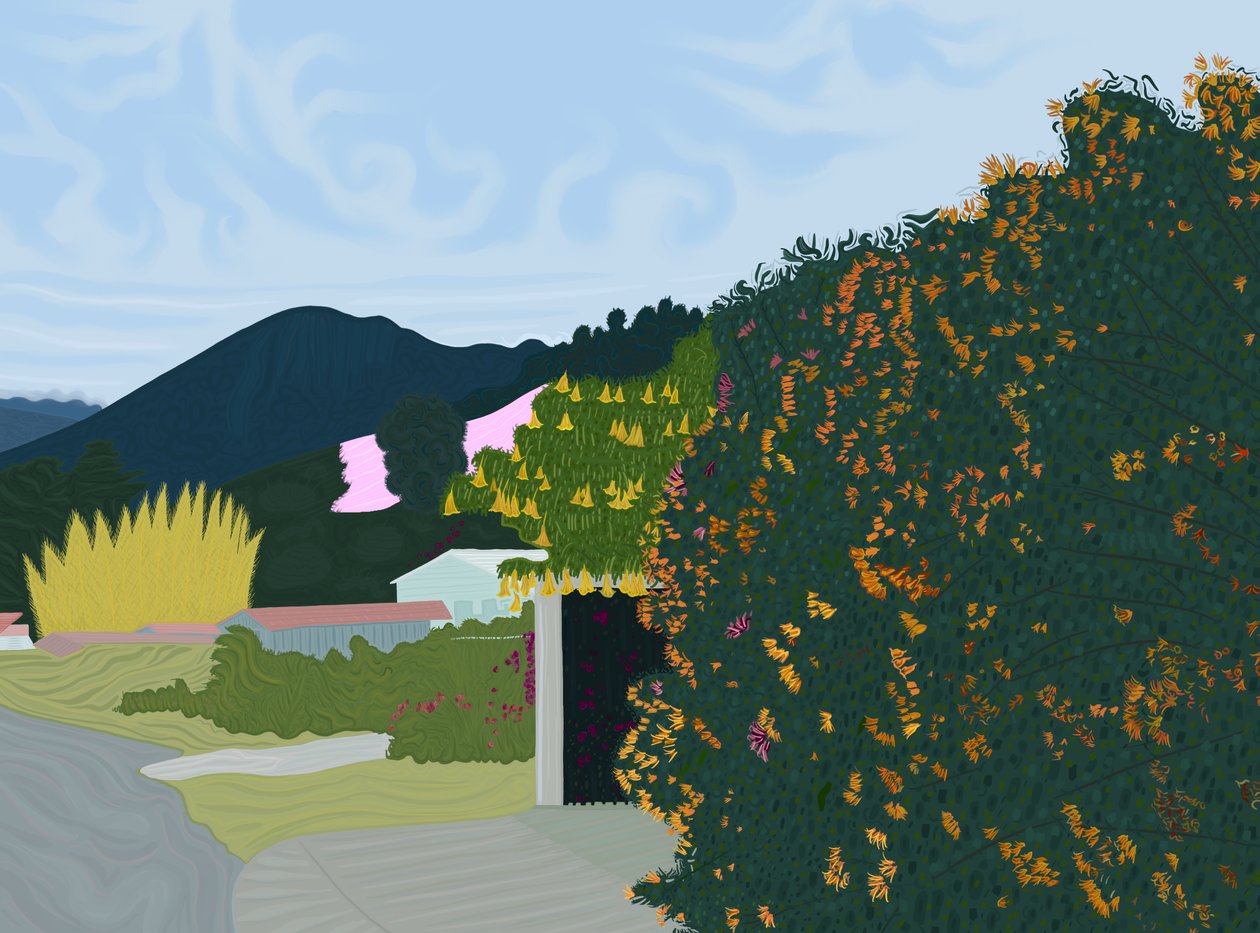 Chiriqui, Panama, ca. 2020-24 (digital kunst) af Evan Sklar
