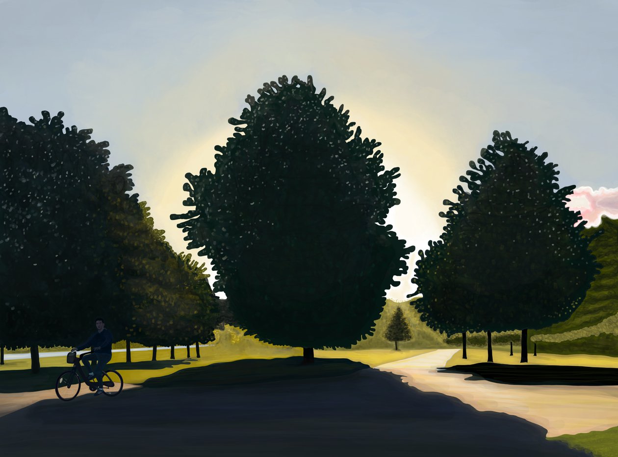 Cyklist, daggry, Hyde Park (digital kunst) af Evan Sklar