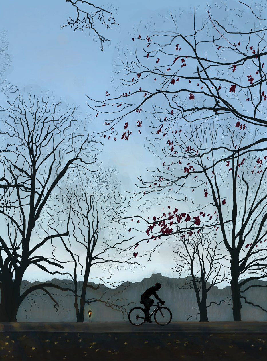 Cyklist, morgen, Prospect Park (digital kunst) af Evan Sklar