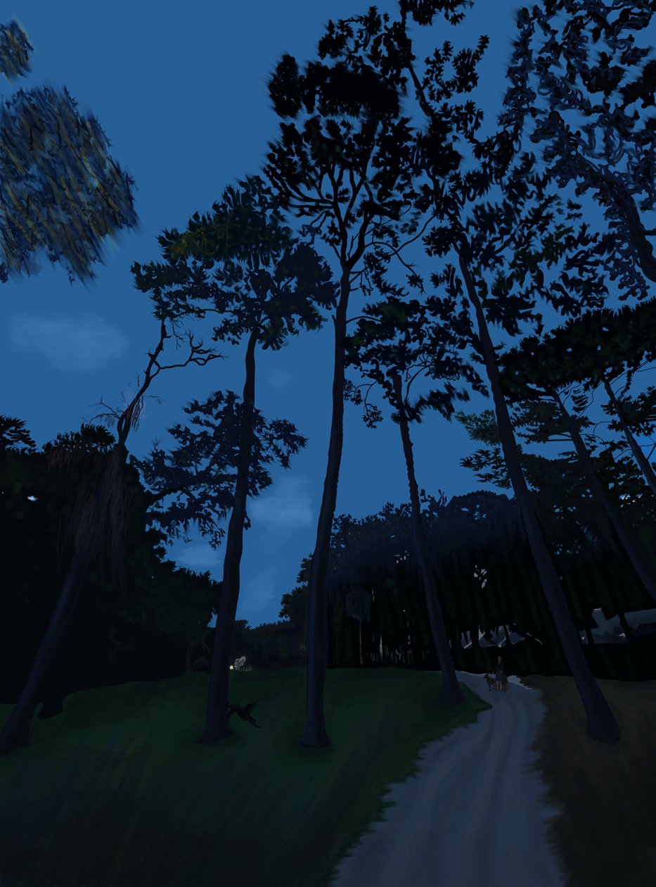 Dog Walk At Dusk (digital art) af Evan Sklar