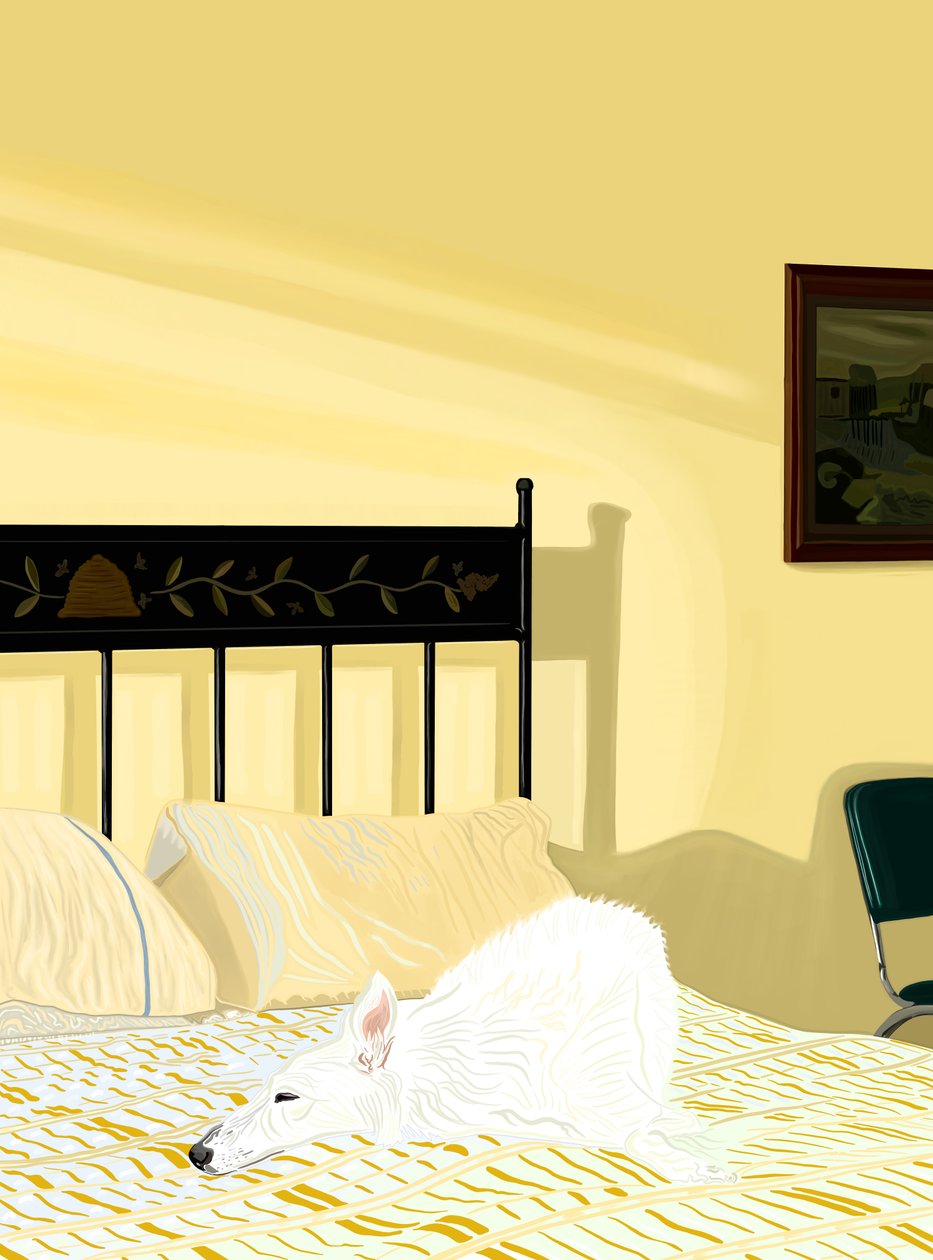 Hund hviler på seng, ca. 2020-24 (digital kunst) af Evan Sklar