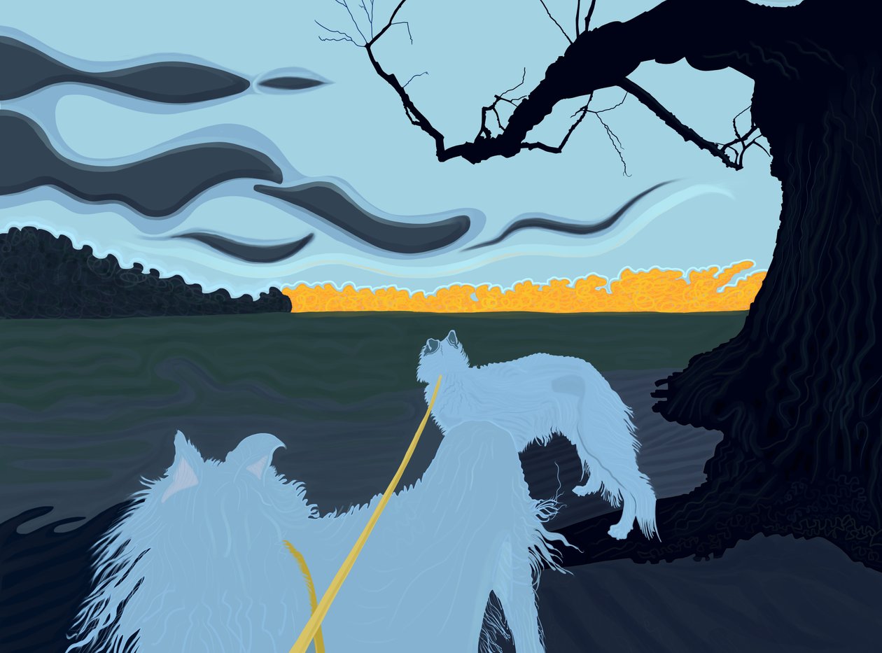 Hunde i skyggen, Brooklyn (digital kunst) af Evan Sklar